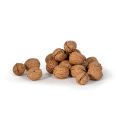 Nueces de Navarra 2Kg